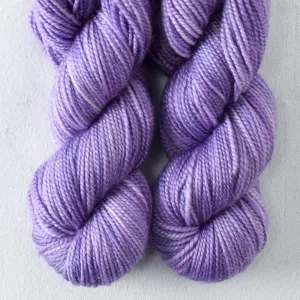 Bachelor Buttons - 2-Ply Toes