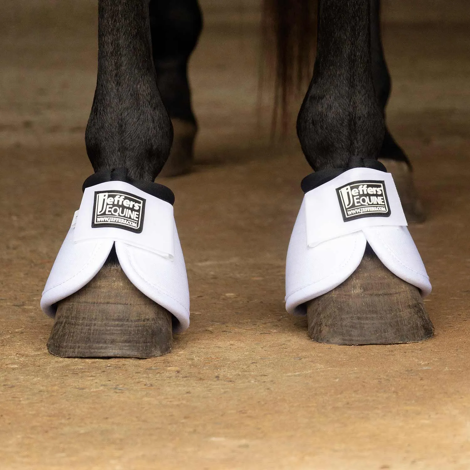 Jeffers Bell Boots for Horses